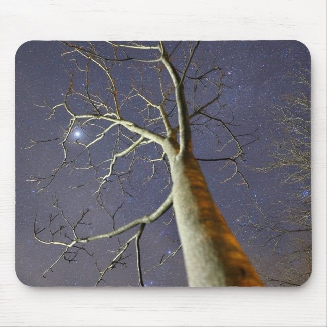 Starry_Tree_Mousepad Mouse Mat (Front)