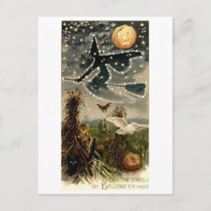 Starry Witch on Broomstick Postcard