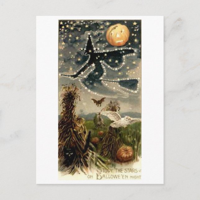 Starry Witch on Broomstick Postcard (Front)