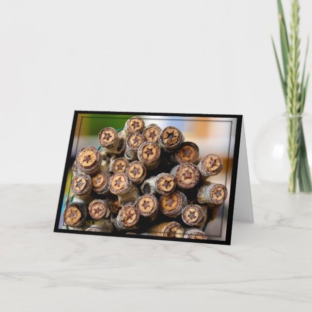 Stars along the Rio Grande Cotton Wood Trees Card (Front)