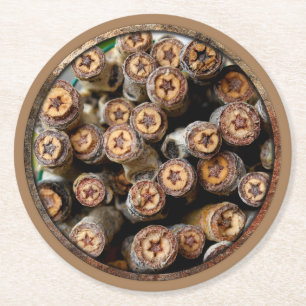Stars along the Rio Grande Cotton Wood Trees Round Paper Coaster