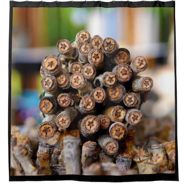 Stars along the Rio Grande Cotton Wood Trees Shower Curtain (Front)