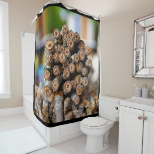 Stars along the Rio Grande Cotton Wood Trees Shower Curtain