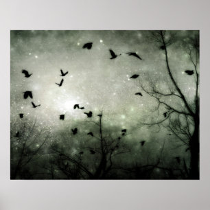 Stars and Crows Collide Poster