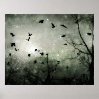 Stars and Crows Collide Poster