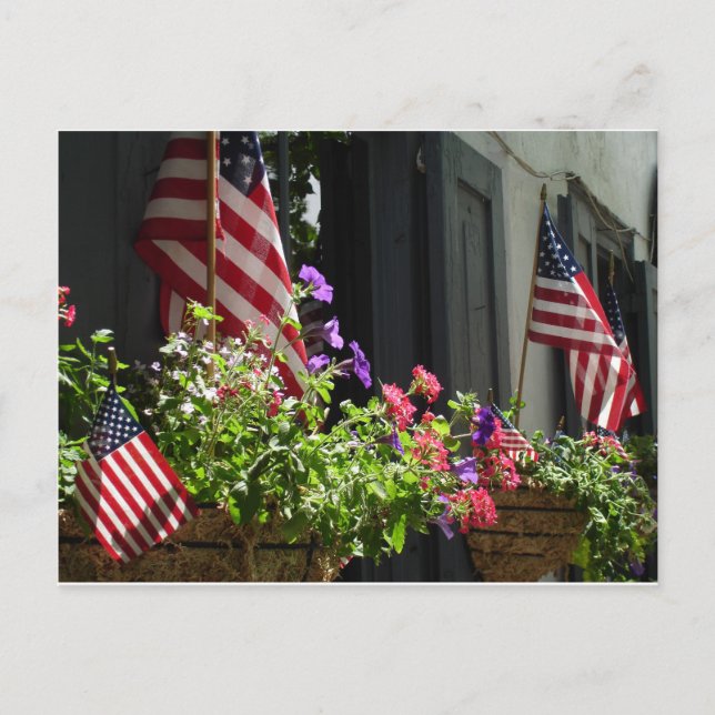 Stars and Stripes Postcard (Front)