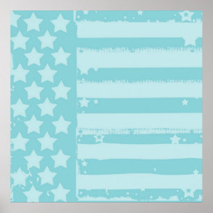 Stars and Stripes Poster