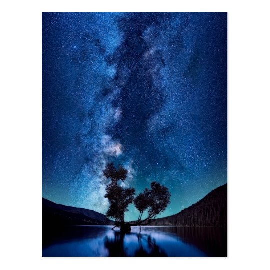 Stars at Night Postcard