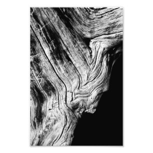 stars say so photo print
