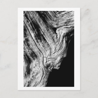 stars say so postcard