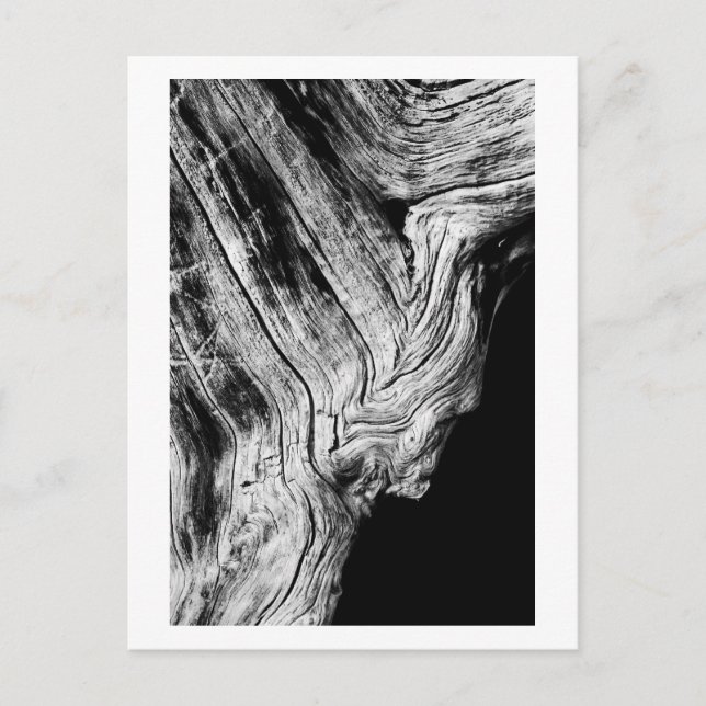 stars say so postcard (Front)