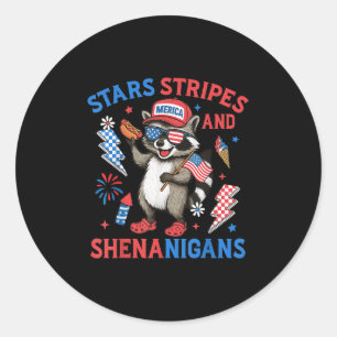 Stars Stripes And Shenanigans Usa Funny Racoon 4t Classic Round Sticker