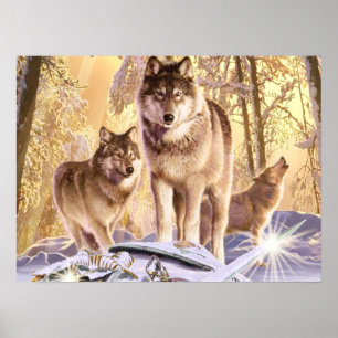 "Stars Under Snow" Canvas Art Poster