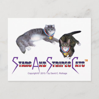 StarsAndStripesCats Postcards
