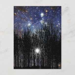 Starscape & Trees - Postcard