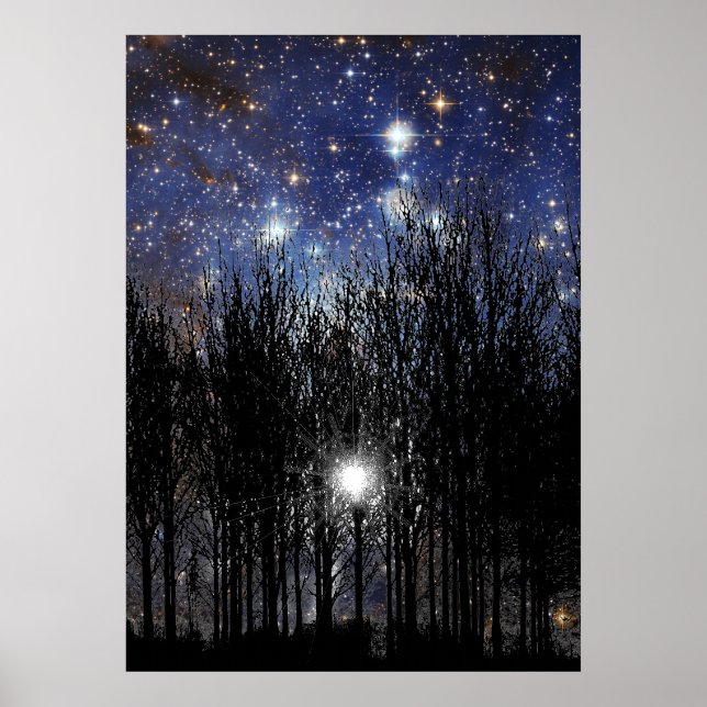 Starscape & Trees - Poster (Front)