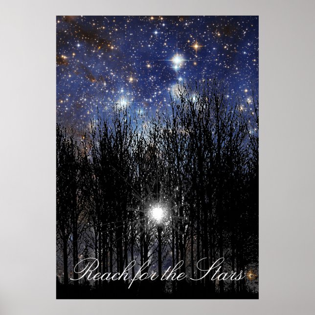 Starscape & Trees: Reach - Poster (Front)