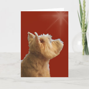 STARSTRUCK WESTIE HOLIDAY CARD