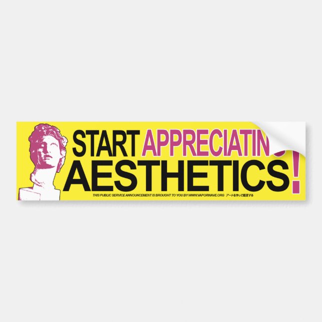 Start Appreciating Aesthetics Bumper Sticker (Front)