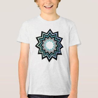 start logo 2 Tri-Blend shirt