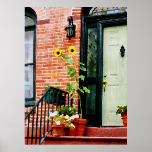 STARTING UNDER $20 - Sunflowers on Stoop Poster