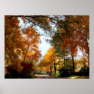STARTING UNDER $20 - Village Street in Autumn Poster