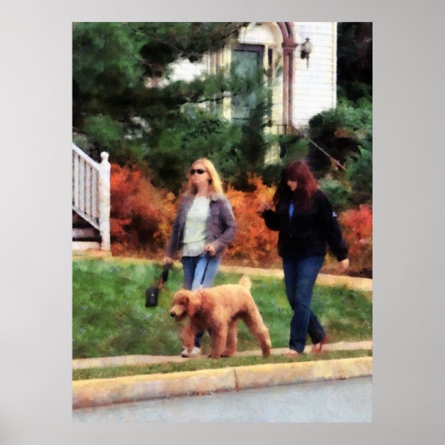 STARTING UNDER $20 - Women Walking a Dog Poster (Front)