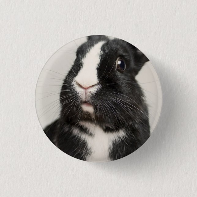 Startled Black and White Bunny Rabbit 3 Cm Round Badge (Front)
