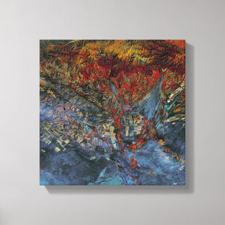 Startling Red Patches  Canvas Print