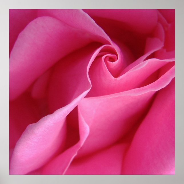 Starts at $12.80 Diagonal of Pink Rose Wall Decor (Front)