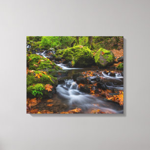 Starvation Creek Falls   Columbia Gorge, Oregon Canvas Print