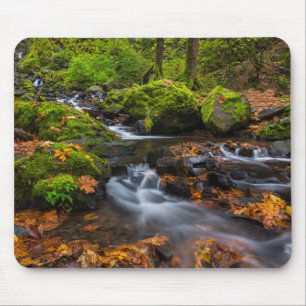 Starvation Creek Falls   Columbia Gorge, Oregon Mouse Mat