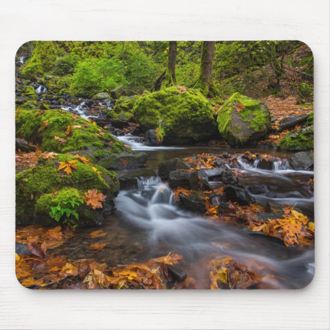 Starvation Creek Falls | Columbia Gorge, Oregon Mouse Mat (Front)