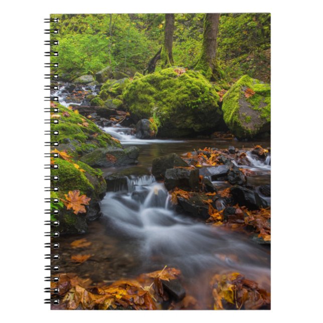 Starvation Creek Falls | Columbia Gorge, Oregon Notebook (Front)