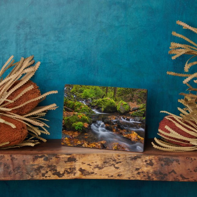 Starvation Creek Falls | Columbia Gorge, Oregon Plaque (Side)