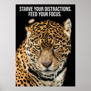 Starve Distractions, Feed Focus - Tiger Success Poster