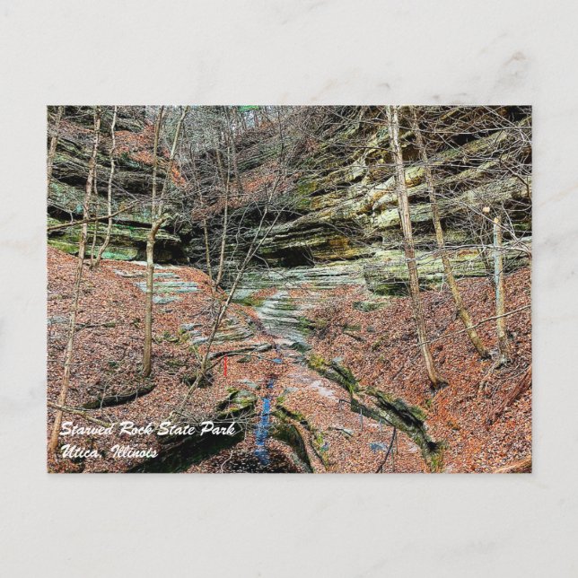 Starved Rock Postcard (Front)