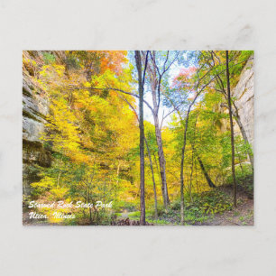 Starved Rock Postcard