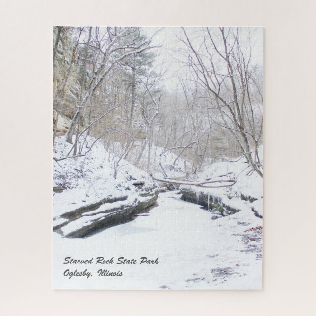 Starved Rock State Park Jigsaw Puzzle (Vertical)