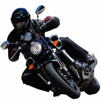 starVmax Photo Sculpture