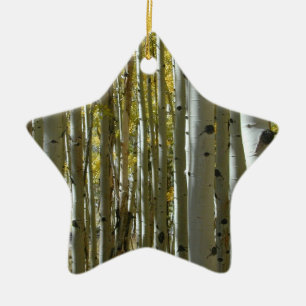 Starwood ornament