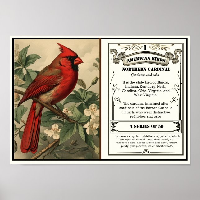 State Bird Collection, Cardinal, customisable Poster (Front)