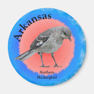 State Bird of Arkansas Magnet