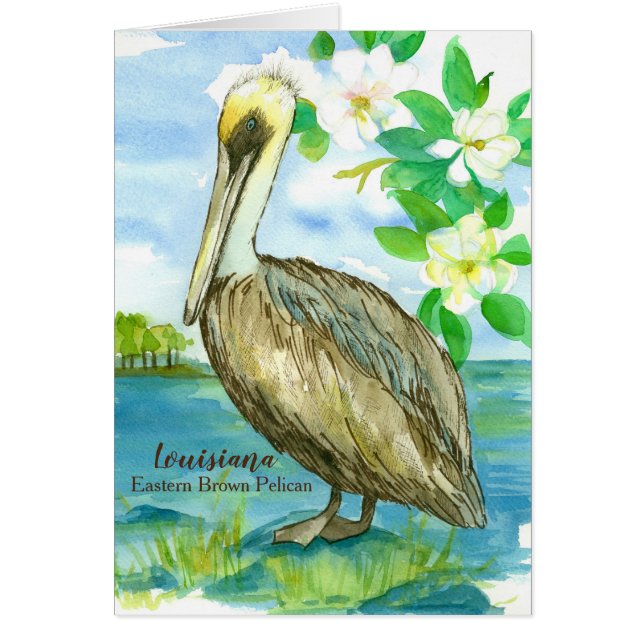 State Bird of Louisiana Pelican Blank (Front)