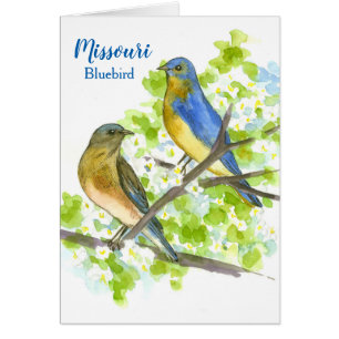 State Bird of Missouri Bluebirds Blank