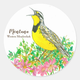 State Bird of Montana Western Meadowlark Songbird Classic Round Sticker