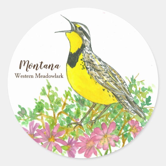 State Bird of Montana Western Meadowlark Songbird Classic Round Sticker (Front)