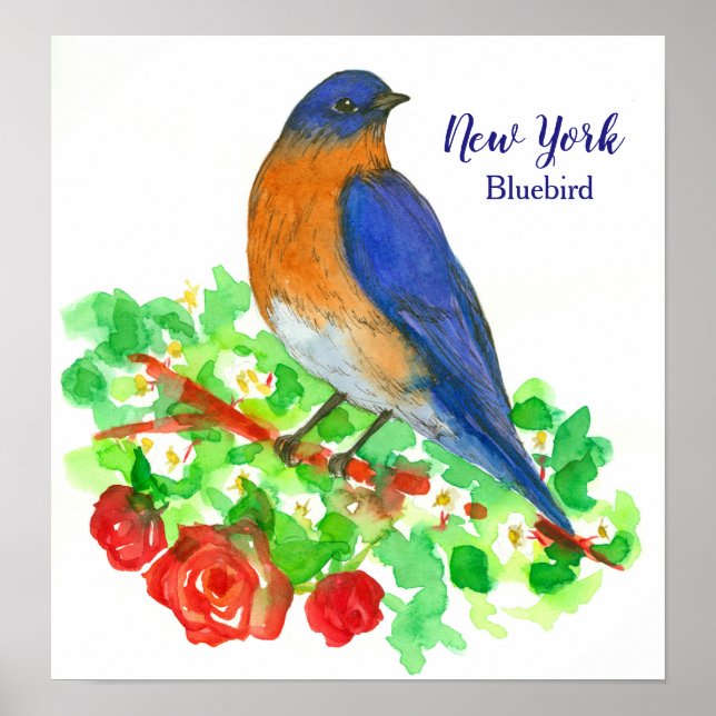 State Bird of New York Watercolor Bluebird Poster (Front)