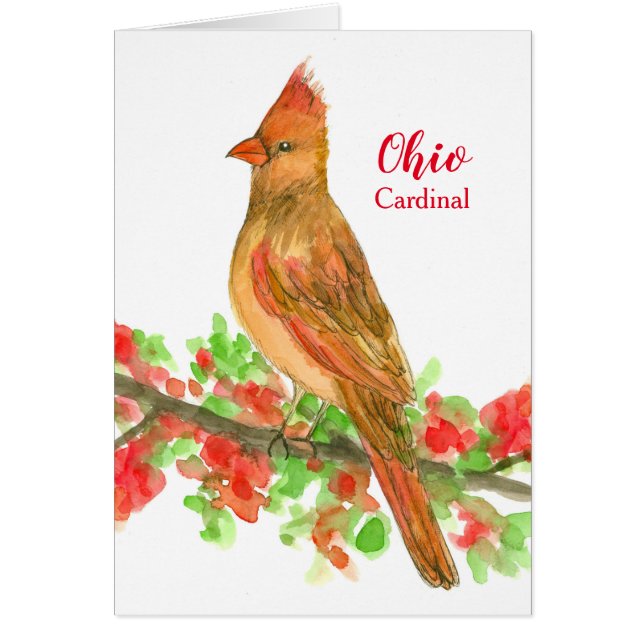 State Bird of Ohio Cardinal Blank (Front)
