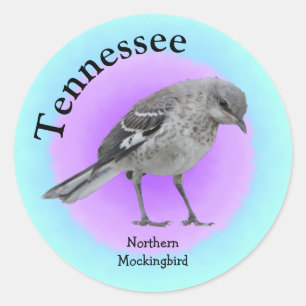 State Bird of Tennessee Classic Round Sticker